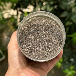 ক্লিওপেট্রা পিওর চিয়া সিড